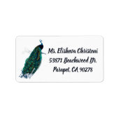 Peacock Feather Peacocks Return Address Labels (Voorkant)
