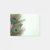 Peacock Feather Post-it Notes (Voorkant)