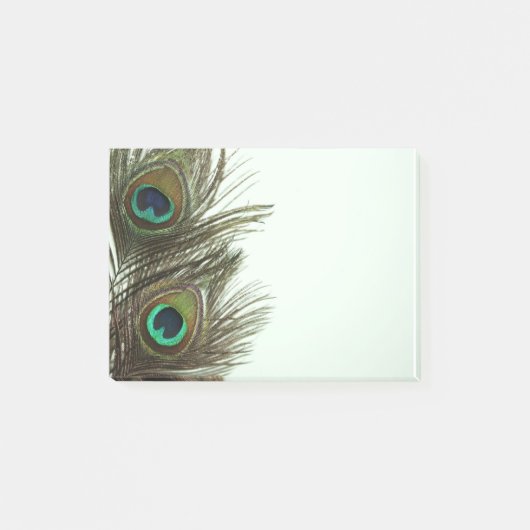 Peacock Feather Post-it Notes (Voorkant)