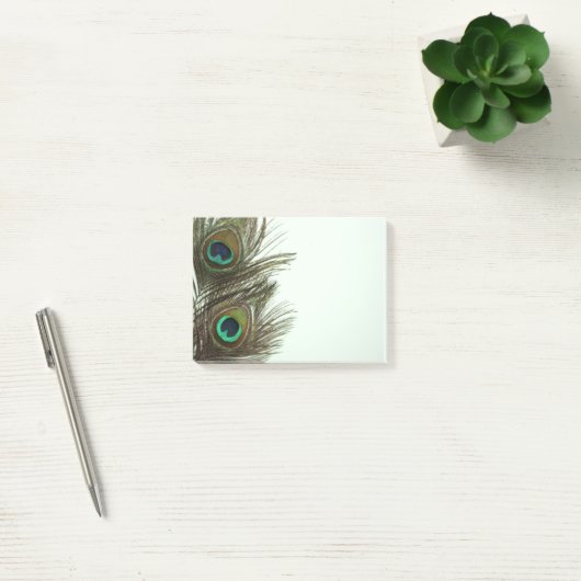 Peacock Feather Post-it Notes (Kantoor)