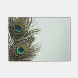 Peacock Feather Post-it Notes