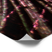 Peacock Feather Poster (Hoek)