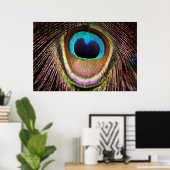 Peacock Feather Poster (Thuiskantoor)