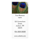 Peacock Feather Rack-kaarten Reclamekaart (Voorkant)