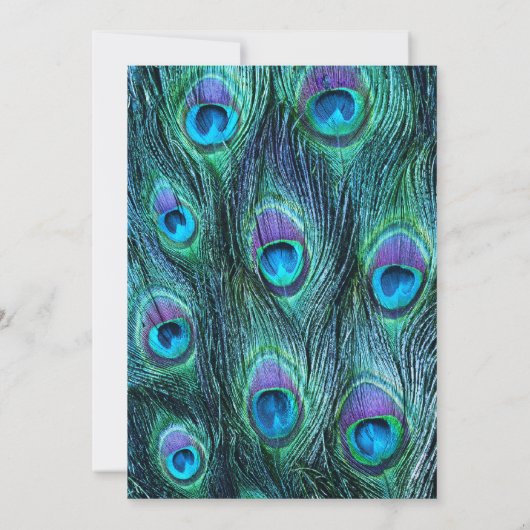 Peacock Feather Rehearsal Dinner Invitation Kaart (Achterkant)