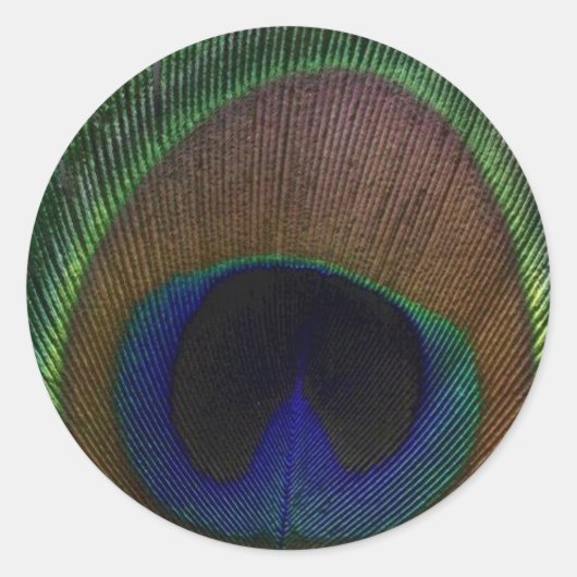 Peacock Feather Ronde Sticker (Voorkant)