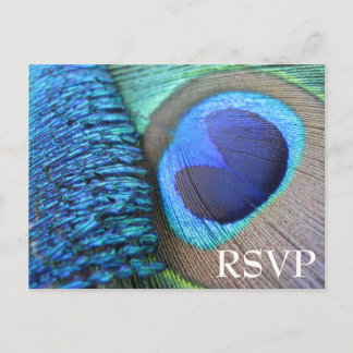 Peacock Feather RSVP-Briefkaart Uitnodiging Briefkaart