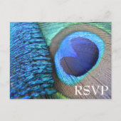 Peacock Feather RSVP-Briefkaart Uitnodiging Briefkaart (Voorkant)