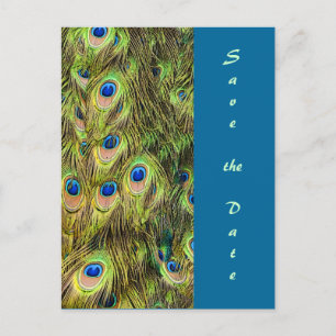 Peacock Feather Save the Date Kaart