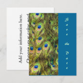 Peacock Feather Save the Date Kaart (Voorkant / Achterkant)