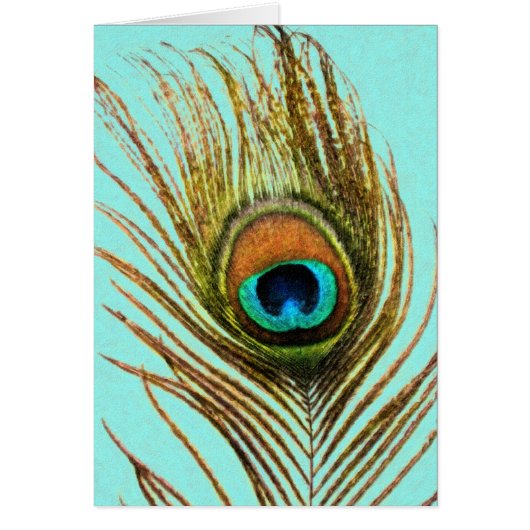 Peacock Feather Set 1107 (Voorkant)