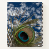 PEACOCK FEATHER SKY PHOTO HARDCOVER NOTITIEBOEK (Achterkant)