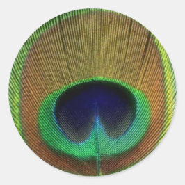 Peacock Feather Sticker