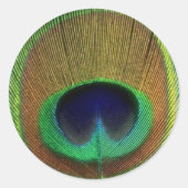 Peacock Feather Sticker (Voorkant)