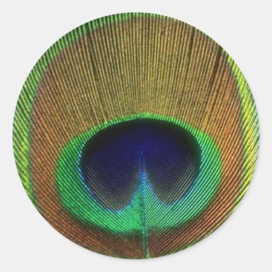 Peacock Feather Sticker (Voorkant)