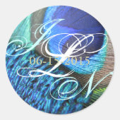 Peacock Feather Sticker (Voorkant)