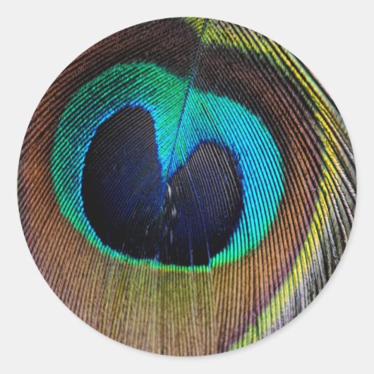 Peacock Feather Stickers (Voorkant)