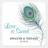 Peacock Feather Stickers (Voorkant)