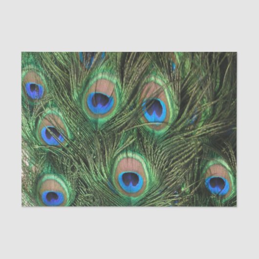 Peacock Feather Tissuepapier (Voorkant)