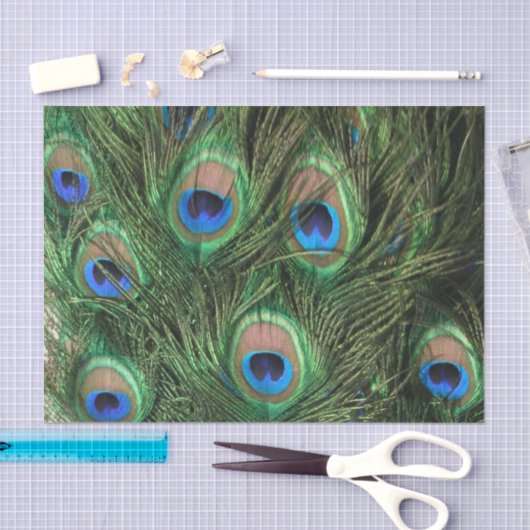 Peacock Feather Tissuepapier (Craft)