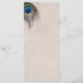 Peacock Feather Trouwprogramma Programmakaart (Achterkant)