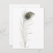 Peacock Feather Uitnodiging Briefkaart (Voorkant / Achterkant)
