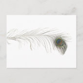 Peacock Feather Uitnodiging Briefkaart (Achterkant)