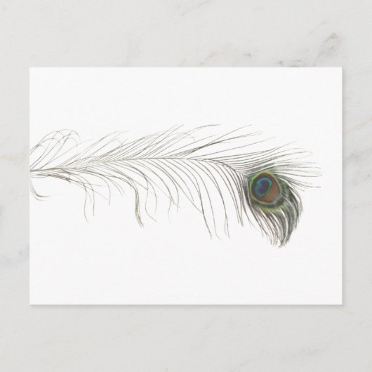Peacock Feather Uitnodiging Briefkaart (Achterkant)