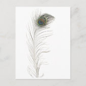 Peacock Feather Uitnodiging Briefkaart (Voorkant)