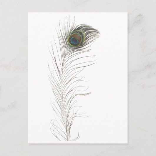 Peacock Feather Uitnodiging Briefkaart (Voorkant)
