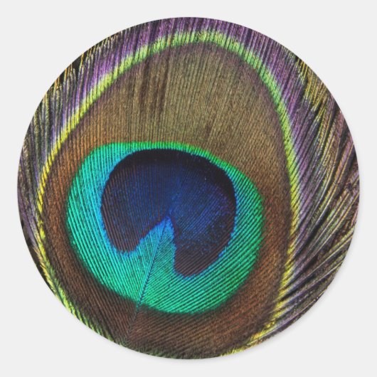Peacock Feather Upright Close-up Ronde Sticker (Voorkant)