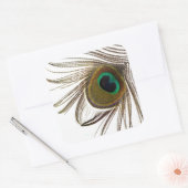  Peacock Feather     Vierkante Sticker (Envelop)