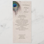 Peacock Feather Wedding Programme Programmakaart<br><div class="desc">Een mooie blauwe, kleurige en groene vreugdedoekveer blaast de bovenste linkerzijde van deze formele trouwprogrammasje in. Uw douanetekst is in bruin bij het hoogste recht en centrum. We hebben genoeg ruimte voor je eigen aangepaste tekst en stijl. Het gebruik past het aan om doopvont, grootte, het uit elkaar plaatsen, plaats,...</div>