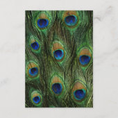 Peacock Feather Wedding - Wishing Well Informatiekaartje (Achterkant)