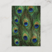 Peacock Feather Wedding - Wishing Well Informatiekaartje (Achterkant)