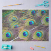 Peacock Feathers 1 debetpapier Tissuepapier (Craft)