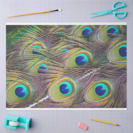 Peacock Feathers 1 debetpapier Tissuepapier (Craft)