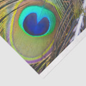 Peacock Feathers 1 debetpapier Tissuepapier (Detail)