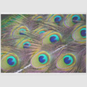 Peacock Feathers 1 debetpapier Tissuepapier (Voorkant)
