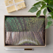 Peacock Feathers 2 debetpapier Tissuepapier (Geschenk)