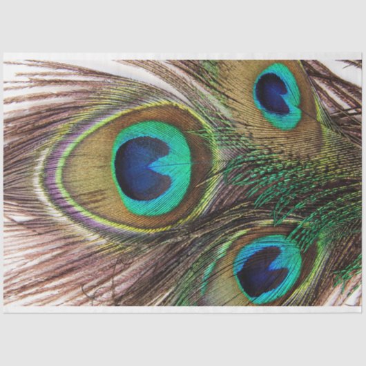 Peacock Feathers 2 debetpapier Tissuepapier (Voorkant)