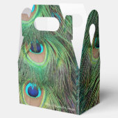 Peacock Feathers 3 Bedankdoosjes (Geopend)