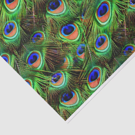 Peacock Feathers 7A-B opties Tissuepapier (Detail)