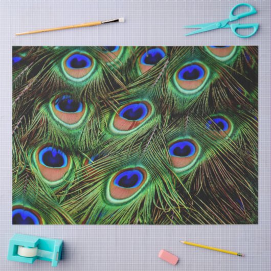 Peacock Feathers Achtergronddocumentpapier Tissuepapier (Craft)