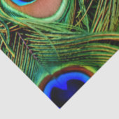 Peacock Feathers Achtergronddocumentpapier Tissuepapier (Detail)