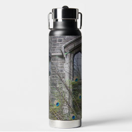 Peacock Feathers and Gothic Windows Waterfles