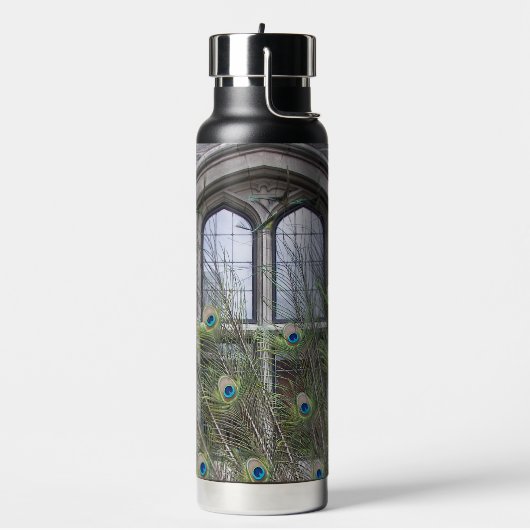 Peacock Feathers and Gothic Windows Waterfles (Links)