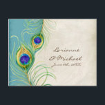 Peacock Feathers Aqua Damask RSVP-reactiekaart Uitnodiging Briefkaart<br><div class="desc">OPMERKING: Briefkaarten zijn een haar te lang om in de vierkante enveloppen te passen, maar kunnen lichtjes worden bijgesneden als je ze voor die grootte wilt gebruiken. Ik adviseer hen naar een drukkerij te brengen. Ze doen dit meestal voor een nominale prijs en dan worden ze perfect afgesneden. ONTWERPCOLLECTIE: Dit...</div>