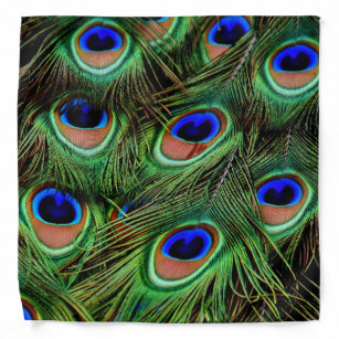 Peacock Feathers Bandana