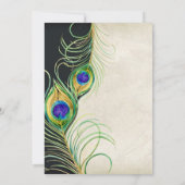 Peacock Feathers Black Damask Blank design Kaart (Achterkant)